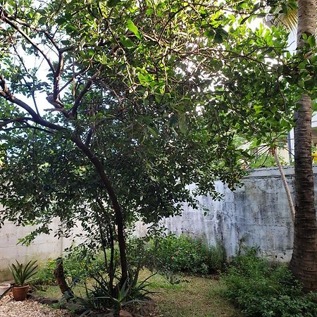 Hotel Le Petit Paradis Antsiranana 外观 照片